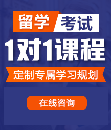 网站小骚逼啊啊啊留学考试一对一精品课